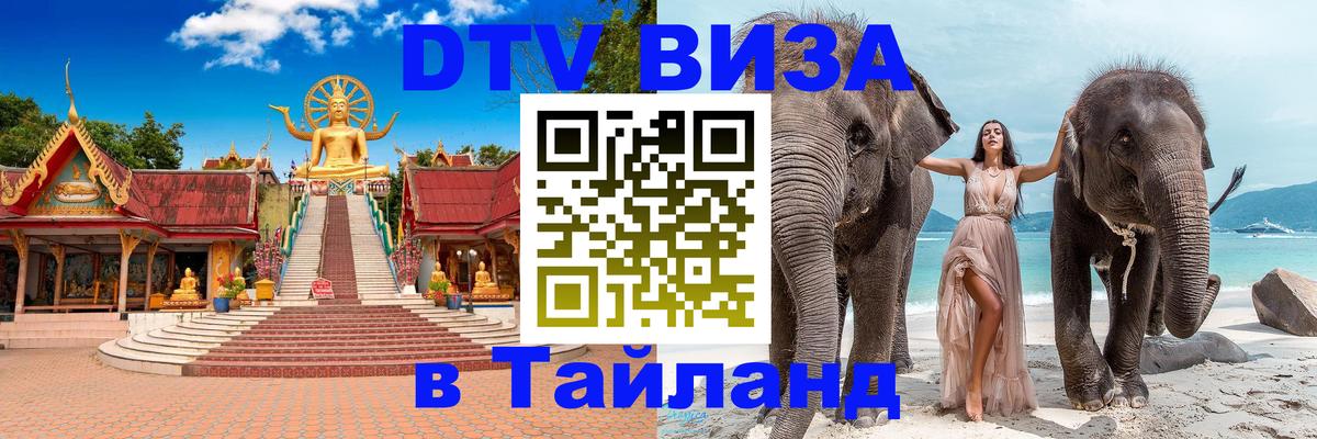 Сколько стоит DTV виза — актуальные цены, оформление даже без документов - 20.11.2025 